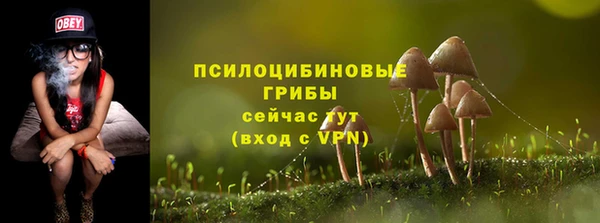 a pvp Алексеевка