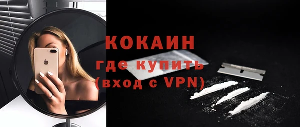 дживик Саяногорск
