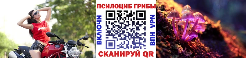 Псилоцибиновые грибы Magic Shrooms  Апрелевка 